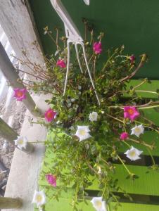 un ramo de flores en un jarrón en una pared en Cabañas Raysa y Alejandro Ternura #2, en Las Galeras