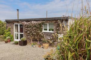 een klein huis met planten ervoor bij Sunny Cabin in Tintagel