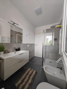 莫利亞諾威尼托的住宿－Appartamento Aura，带浴缸、盥洗盆和卫生间的浴室