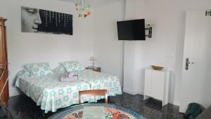 Cúllar-Vega的住宿－Alojamiento Vega Granada，卧室配有一张床,墙上配有电视。