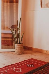 Fotografie z fotogalerie ubytování Dreamsea Imsouane Morocco v destinaci Imsouane