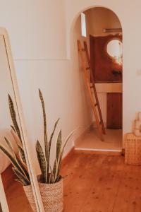 Fotografie z fotogalerie ubytování Dreamsea Imsouane Morocco v destinaci Imsouane