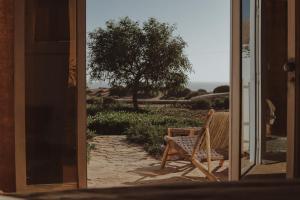 Zahrada ubytování Dreamsea Imsouane Morocco