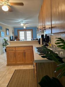 a kitchen with wooden cabinets and a counter top at Treasures of Andros in Love Hill