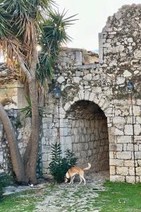 Fotografie z fotogalerie ubytování Annapolis v destinaci Himare