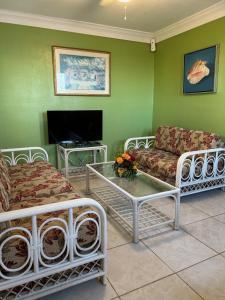 a living room with a couch and a tv at Treasures of Andros in Love Hill