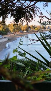 a view of a beach with the water at Silis House on the beach in Artemida