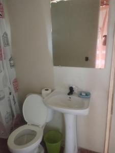 a bathroom with a toilet and a sink and a mirror at Cabañas Raysa y Alejandro Comprension #4 in Las Galeras