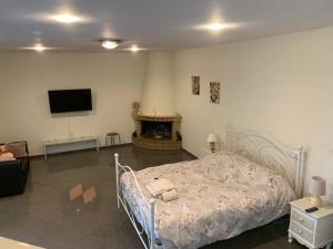 1 dormitorio con 1 cama con chimenea y TV en Eden Garden Villa en Skalánion