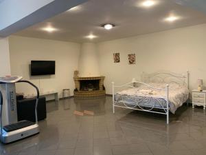 1 dormitorio con cama, TV y chimenea en Eden Garden Villa en Skalánion