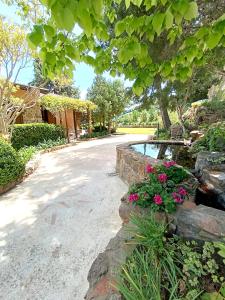 Zahrada ubytování LA Casa di Matilde
