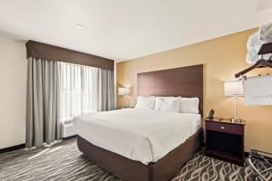 una camera d'albergo con un grande letto e una finestra di Riverstone Suites by Cobblestone Hotels - Chippewa Falls a Chippewa Falls