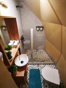 a bathroom with a shower with a sink and a toilet at Glamping ZAZEN in Drumu Carului