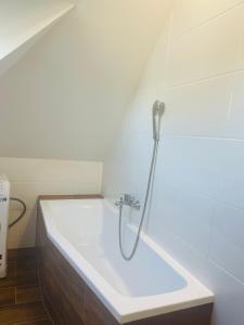 La salle de bains est pourvue d'une douche et d'un lavabo. dans l'établissement Jenys Apartment Usti 2, à Ústí nad Labem