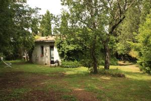 Zahrada ubytování Poggio del Castagno + 19 fotografií