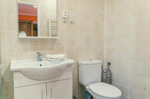 La salle de bains est pourvue de toilettes et d'un lavabo. dans l'établissement Sokolovna, à Karviná