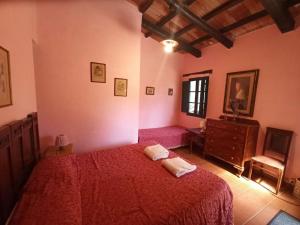um quarto com uma cama, uma cómoda e uma janela em Poggio del Castagno em Pitigliano