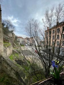 a view of a street with buildings and a tree at Appartement très proche centre LYON, 4 personnes in Caluire-et-Cuire