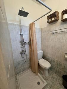 a small bathroom with a toilet and a shower at Cozy studio apartment 2 in Kallithea Rhodes