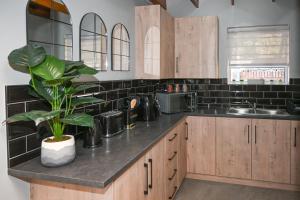 a kitchen with wooden cabinets and a plant on the counter at Hartklop in Kimberley