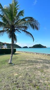 een palmboom op een strand naast het water bij Casa Buzios resort in Búzios