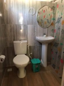 a bathroom with a toilet and a sink and a mirror at Cantinho da mery in Maragogi