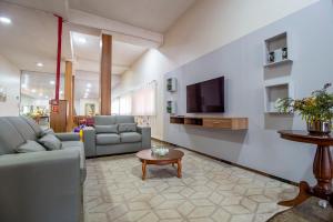 a living room with a couch and a tv at Hotel Dan Inn Barretos in Barretos