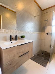 een badkamer met een wastafel en een douche bij Grey Net in Palatswe