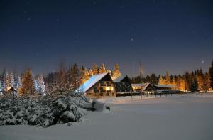a lodge in the snow at night with snow covered trees at Hotel Horník in Vlachovice