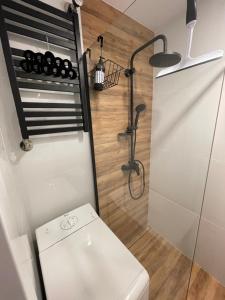 a small bathroom with a toilet and a shower at Harmony Apartament in Suwałki