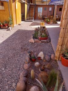 Casa Ñawi في سان بيدرو دي أتاكاما: حديقة فيها صخور ونباتات في ساحة