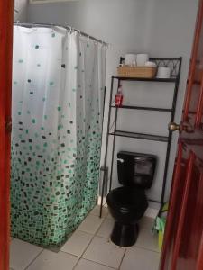 y baño con aseo y cortina de ducha. en Casa de vacaciones el volcán, en Managua