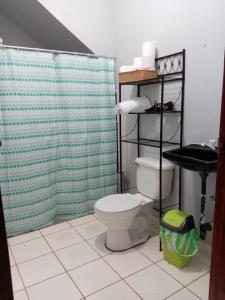 a bathroom with a toilet and a shower curtain at Casa de vacaciones el volcán in Managua