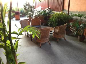 Um jardim no exterior de Trekkers Home