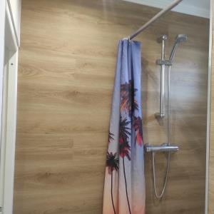 a shower with a shower curtain in a bathroom at Proche Paris,Cosy appartement, 3 bedrooms in Saint-Ouen