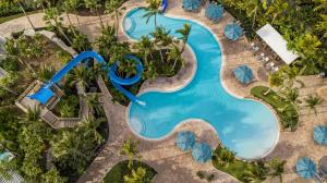 an overhead view of a pool at a resort at Hyatt Regency Coconut Point Resort & Spa Near Naples in Bonita Springs
