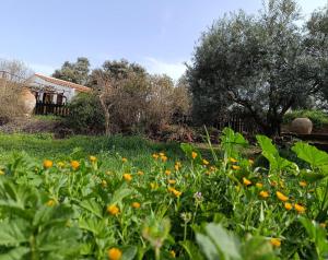 un campo de flores con una casa en el fondo en Huerta Del Pasil (Casa Entera), en Córdoba