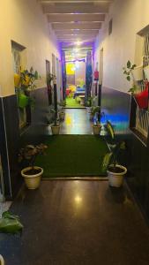 a hallway with many potted plants in a room at Ram Paying Guest House & Hostel Near by Krishna Janmabhoomi GROUP OF MANAVI in Mathura