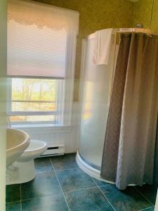 a bathroom with a shower and a sink at Carriage House Inn in Fredericton