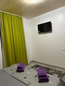 Galeriebild der Unterkunft Casa de lemn 1,Tip A in Corbu