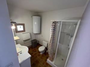 a small bathroom with a shower and a toilet at Six Duplex à la montagne POMPIERY in Seyne