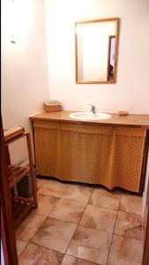een badkamer met een wastafel en een spiegel bij Maison d'une chambre avec jardin amenage et wifi a Caseneuve in Caseneuve
