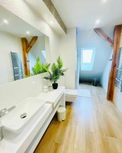 カジミエシュ・ドルニにあるSielsko-Anielsko centrumの白い洗面台とトイレのあるバスルーム