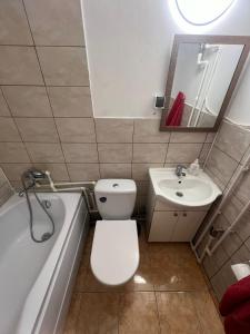 巴克烏的住宿－Garsoniera Panoramic，浴室配有白色卫生间和盥洗盆。