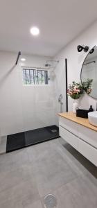 ein Bad mit einer Dusche, einem Waschbecken und einem Spiegel in der Unterkunft Casa do Portinho in Portinho da Arrábida