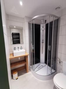 a bathroom with a glass shower and a sink at Haus Seewald in Passriach