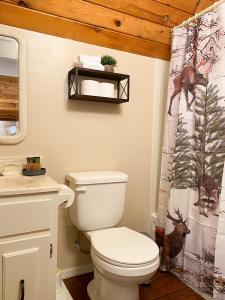 uma casa de banho com um WC e uma cortina de chuveiro em Skyline Chalet em Forest Lakes Estates