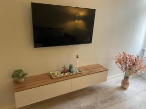 Televízia a/alebo spoločenská miestnosť v ubytovaní Syl Via Apartman