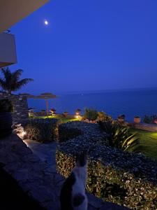 Domáce zviera alebo zvieratá hostí v ubytovaní Breathtaking sea view flat in south Crete