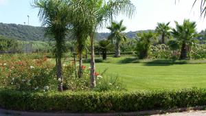 einen Park mit Palmen und einem Grasfeld in der Unterkunft Bari Sardo Le More Suite 1 in Bari Sardo